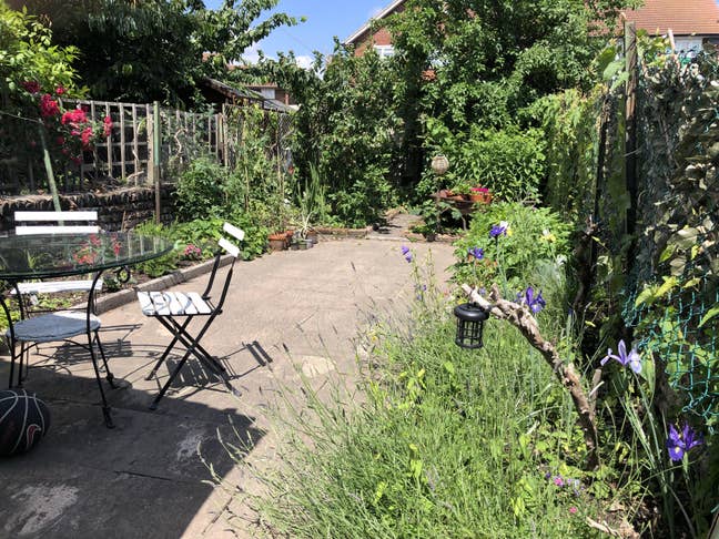 Cosy room overlooking quiet back garden  Main Photo
