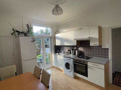 Single room for female  Main Photo