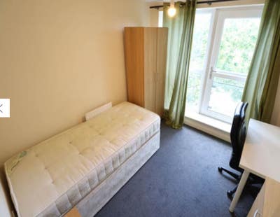 A single room available for immediate move Main Photo