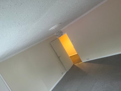 Blaenau Gwent House-Mate Wanted Main Photo