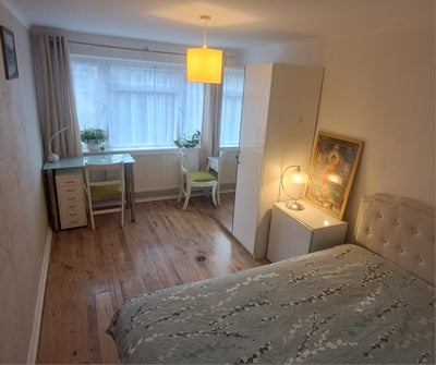 Clean & Cozy Double Room | Veg Female Preferred Main Photo