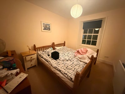 Double room -550 plus bills  Main Photo
