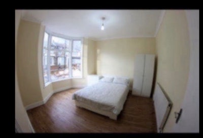 Large Double Room In N22..All Bills Included  Main Photo