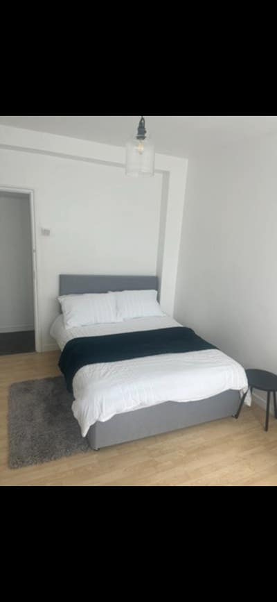 Double room available in friendly flat  Main Photo