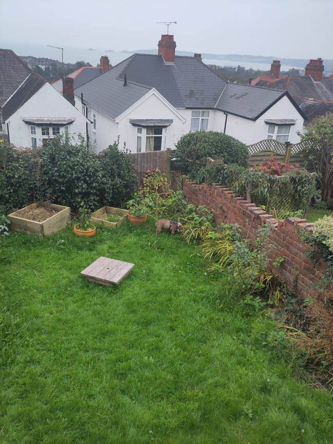 Room in vegan house in Uplands  Main Photo