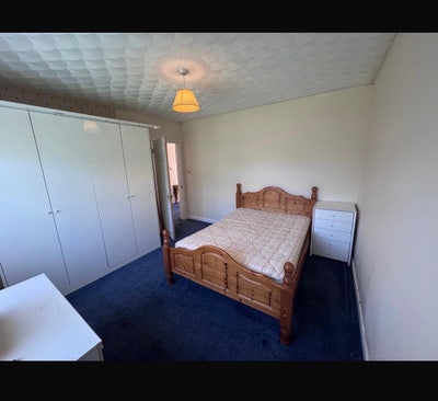 Room To Let Main Photo