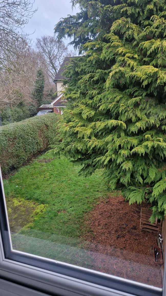 Room for Rent in Cozy 2-Bed House with Garden Main Photo