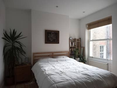 Rennovated room, on north corner of Clapham Common Main Photo