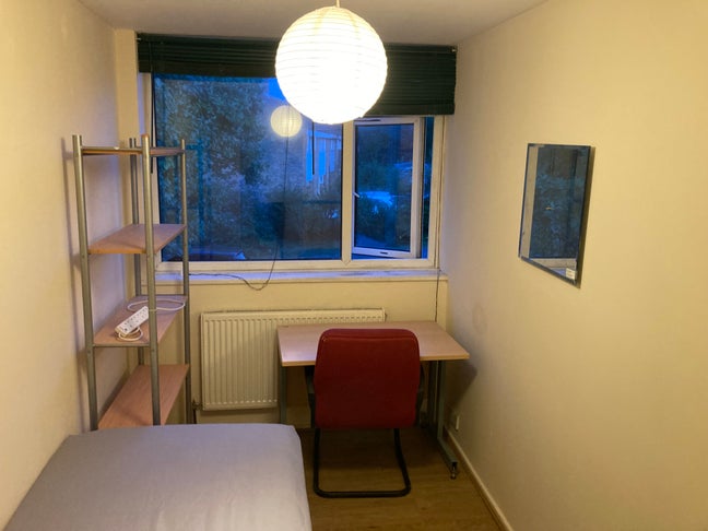 A Medium size single room available Main Photo