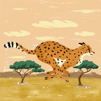 I am a male aged 23. I am looking for a doubl... Main Photo