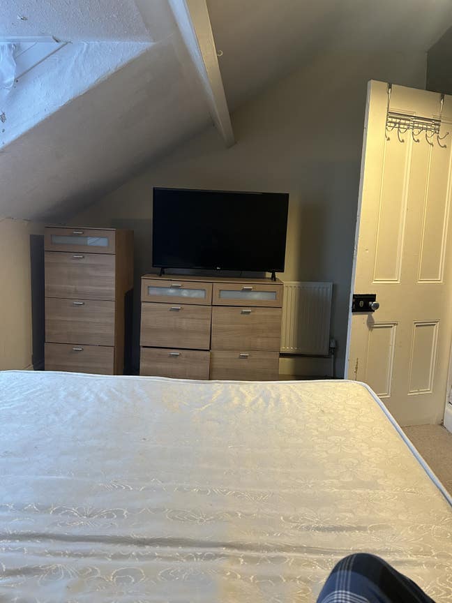 Discounted Rent in Exchange for Dog Care Main Photo