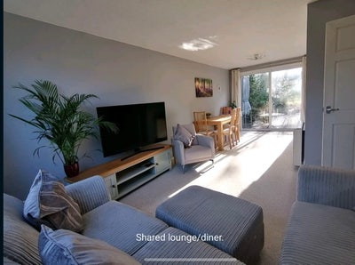 Two double rooms available now! Main Photo