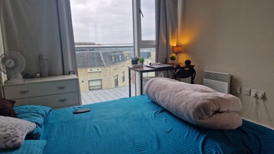 Short-Term Room Available – Clifton– 1 Month  Main Photo