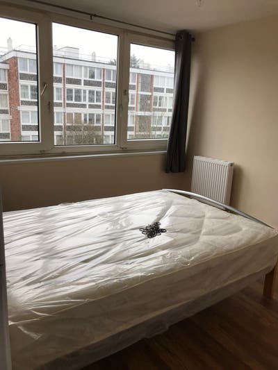 Double Room Available (86) Main Photo