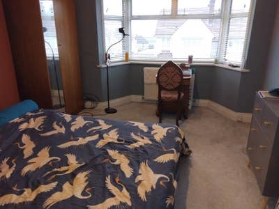 Bohemian household. Room for rent  Main Photo