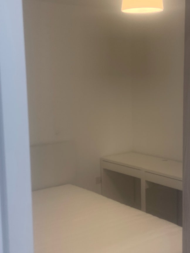 Room close to Harrow on the Hill  Main Photo