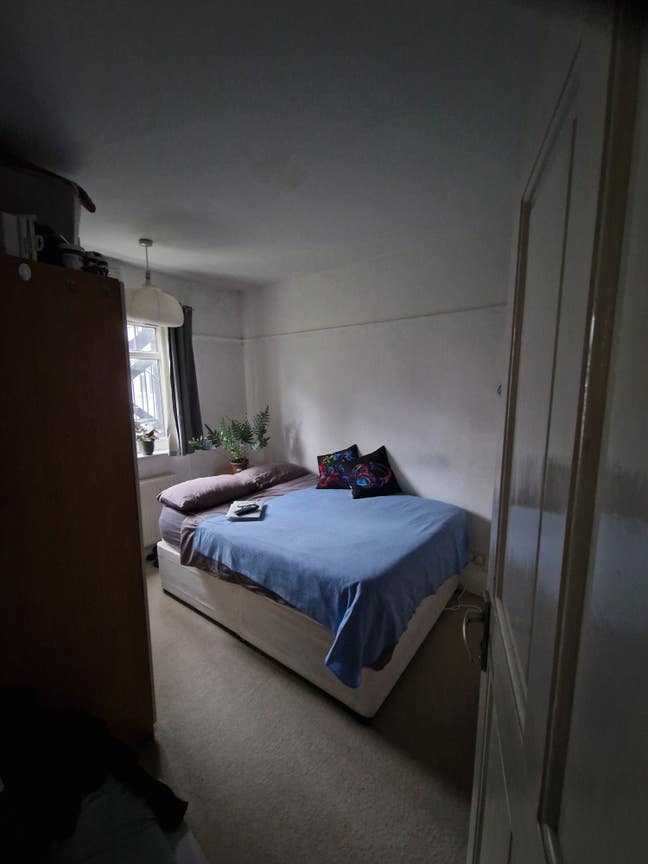 Cosy single room with a garden window  Main Photo