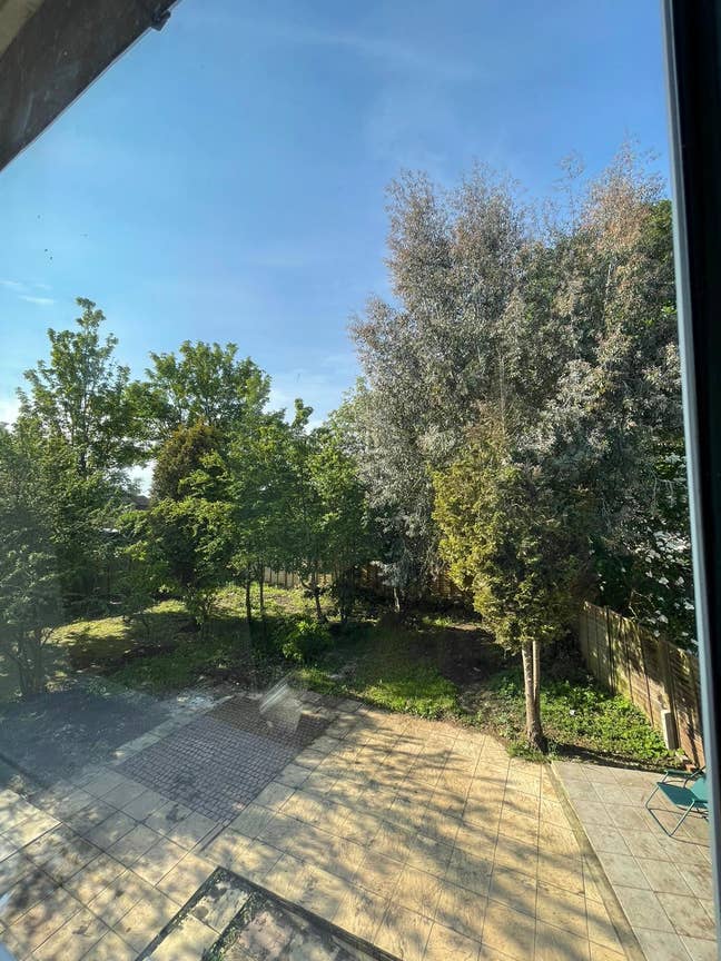 3 bedroom semi-detached house in Orpington  Main Photo