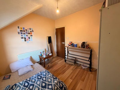 Cozy single room available  Main Photo