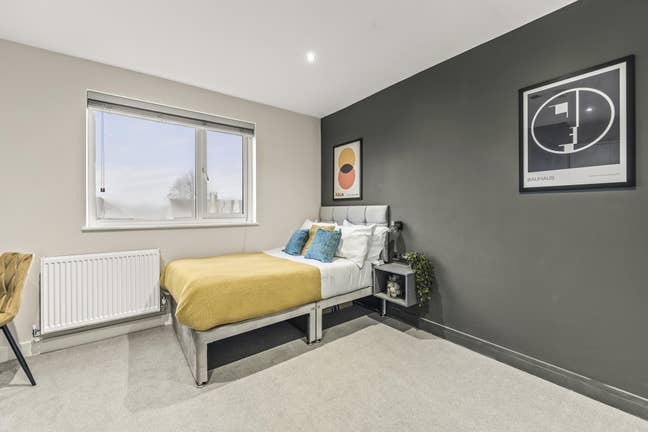 Fantastic Studio Room- Mayors Walk😍  Main Photo