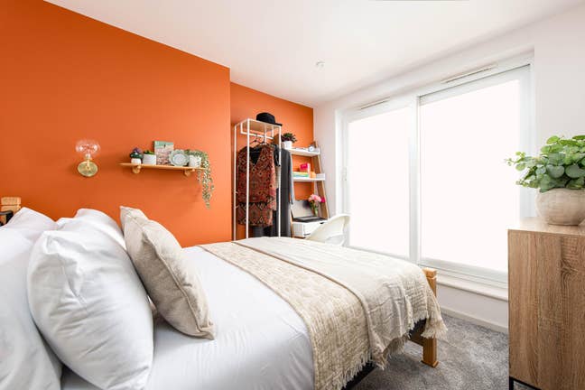 🌟Beautiful & Sunny DL Room in Modern Shared House Main Photo