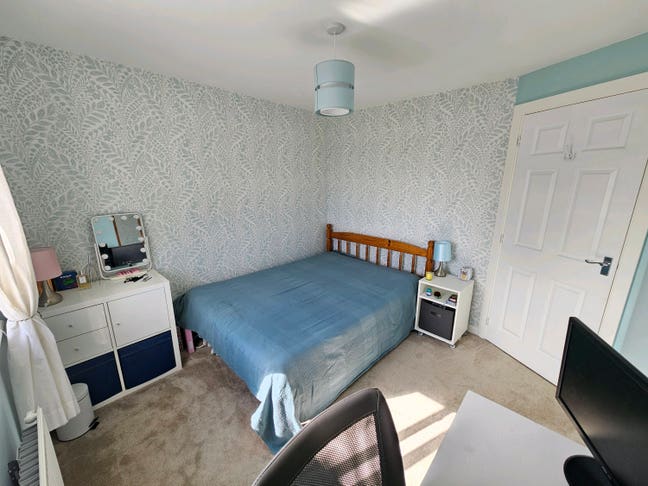 Friendly, modern, professional home with cats 🐈 Main Photo