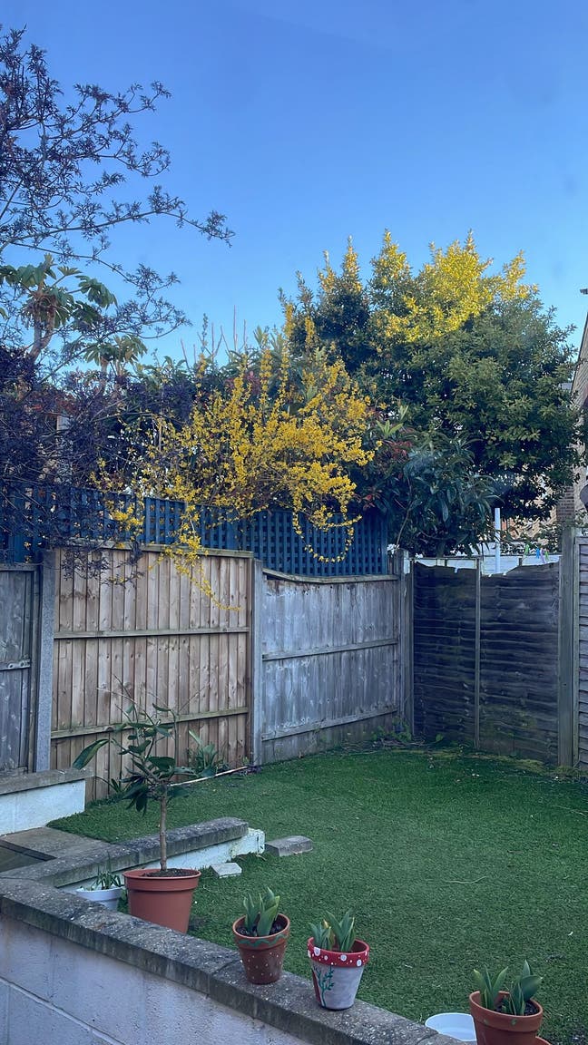 Sweet double bedroom in Wilsden Green  Main Photo