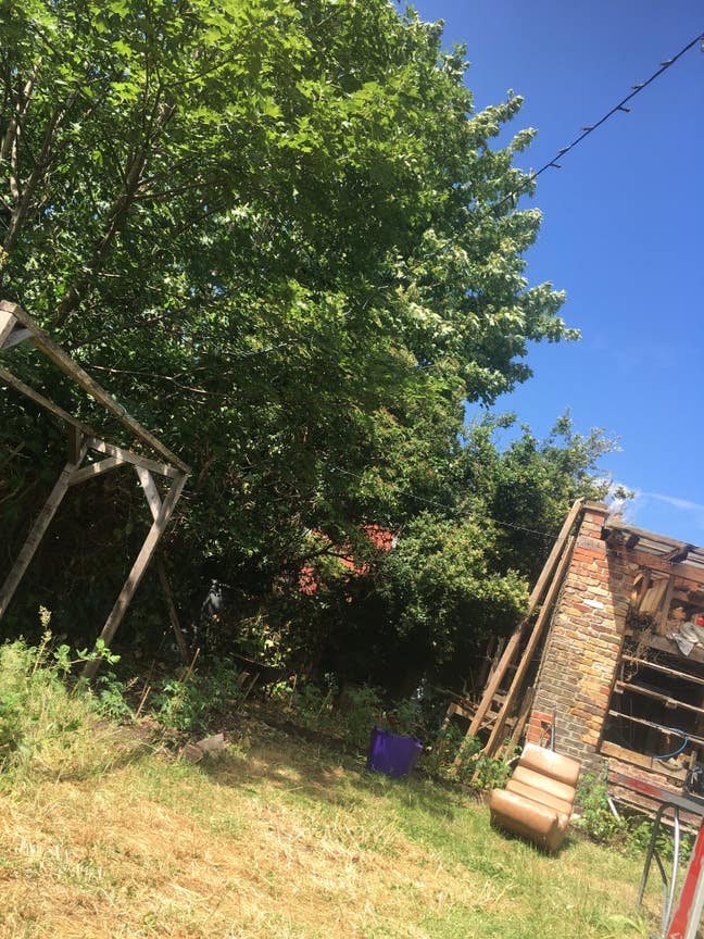 Double room -friendly Harringay ladder houseshare Main Photo