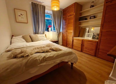 Large Double Room Battersea Park Main Photo