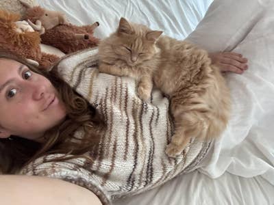 Looking for a room or to buddy up! Main Photo