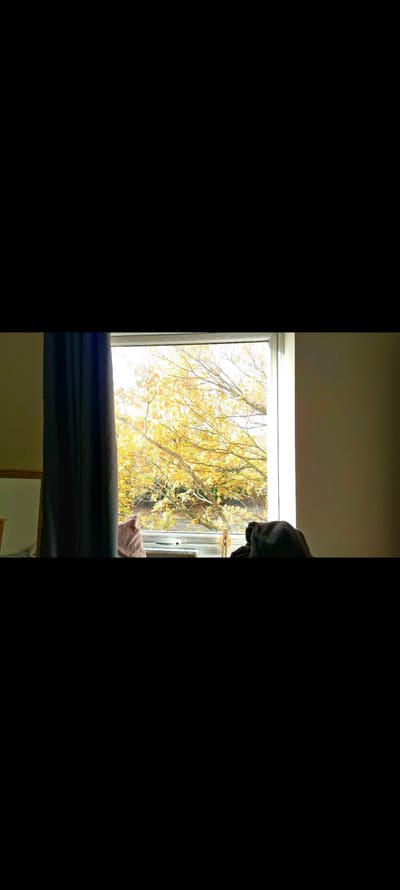 Double Room near de Havilland campus Main Photo