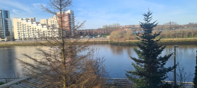 Riverside Room for Rent - Quiet, Comfortable, Clea Main Photo