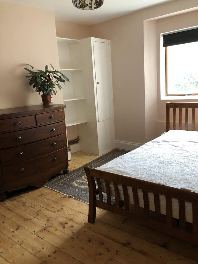 Lovely double room in Mannamead  Main Photo