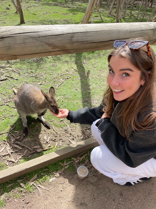 Social, Clean and Friendly Professional Main Photo