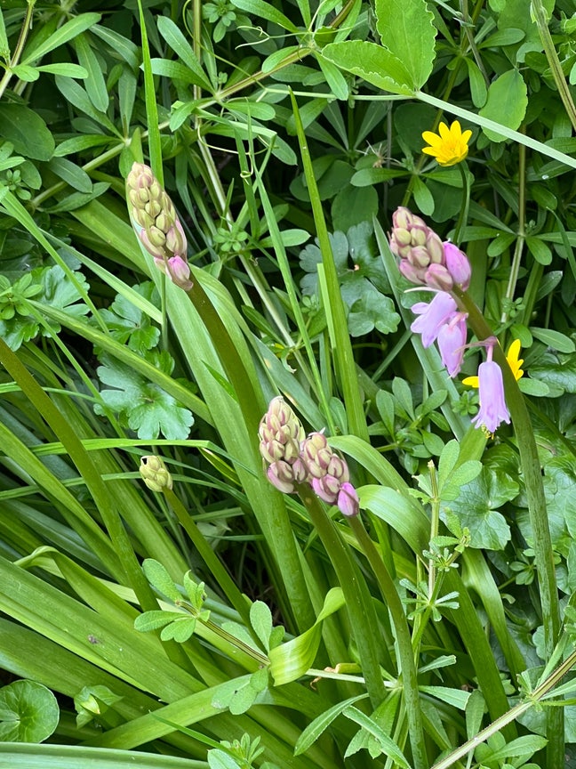 Rooms in shared house Main Photo