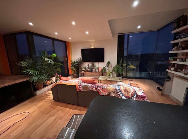 Double room in friendly flat w/ dog & sunny terra  Main Photo