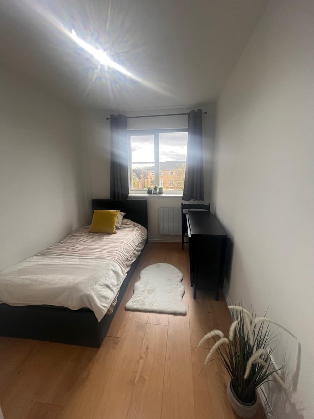 Modern Single/Double Room Available Mid-April Main Photo