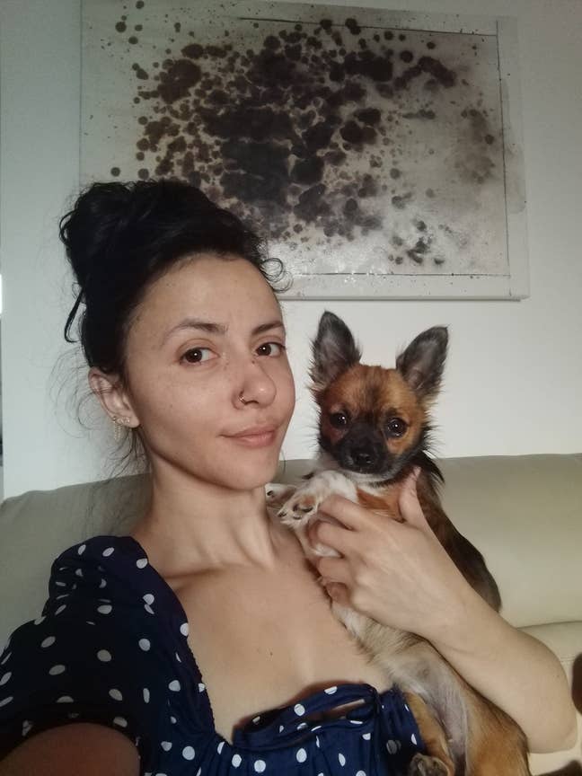 Looking to get a shared space with a dog lover. Main Photo