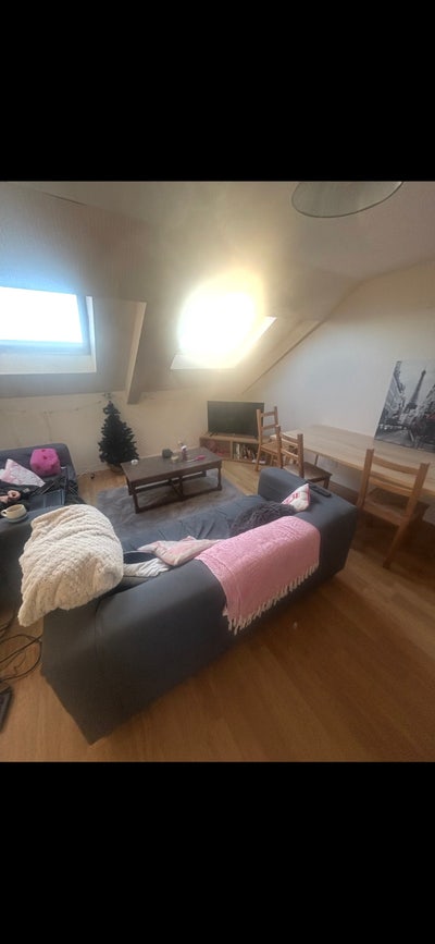 Room available for 2026/2027 Academic Year Main Photo