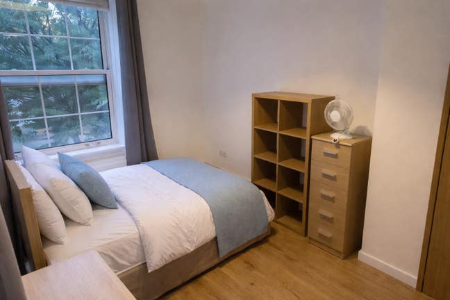 Bright Room🌿 Stylish Flat nr Hackney Downs✨ Main Photo