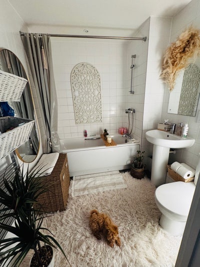 Bright, Comfortable Room in Relaxed Home Main Photo