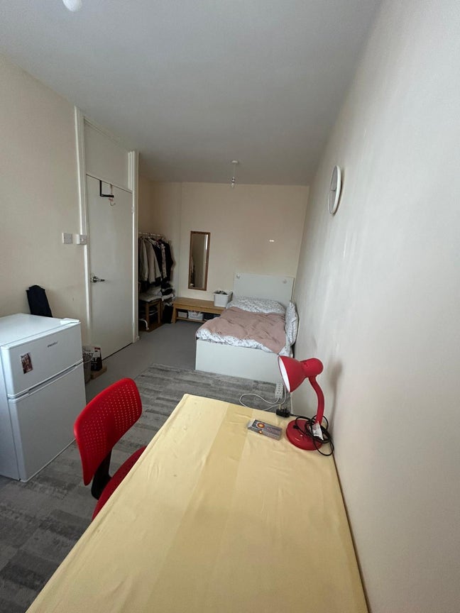 Large room for a FEMALE in a family home Main Photo