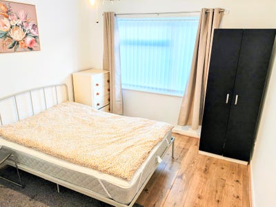 Professional/Student female preferred. Main Photo