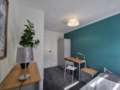 Stylish 1-Bed Room, Bills Included | Available Now Main Photo