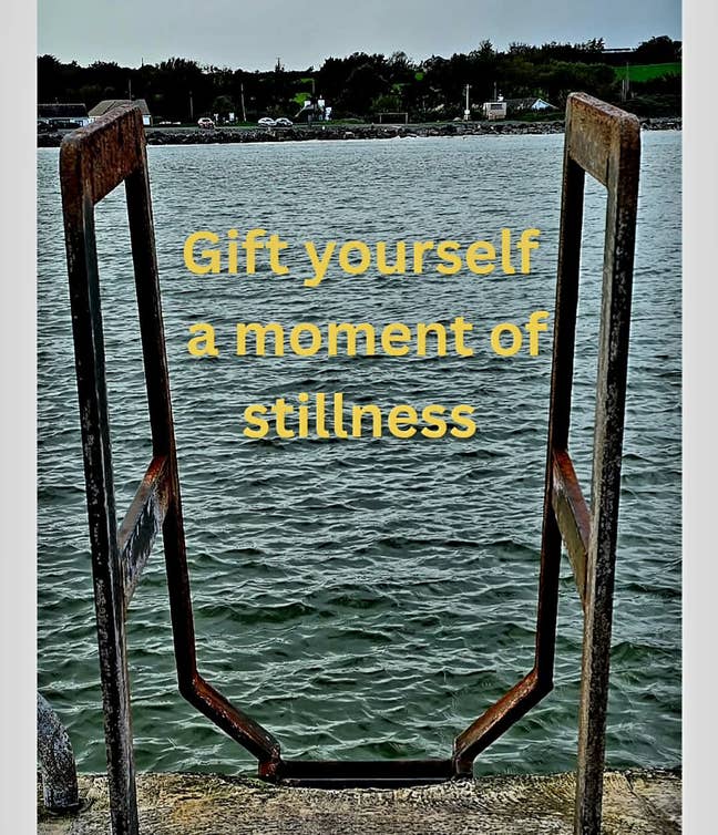 Professional Male seeks a single or double room Main Photo