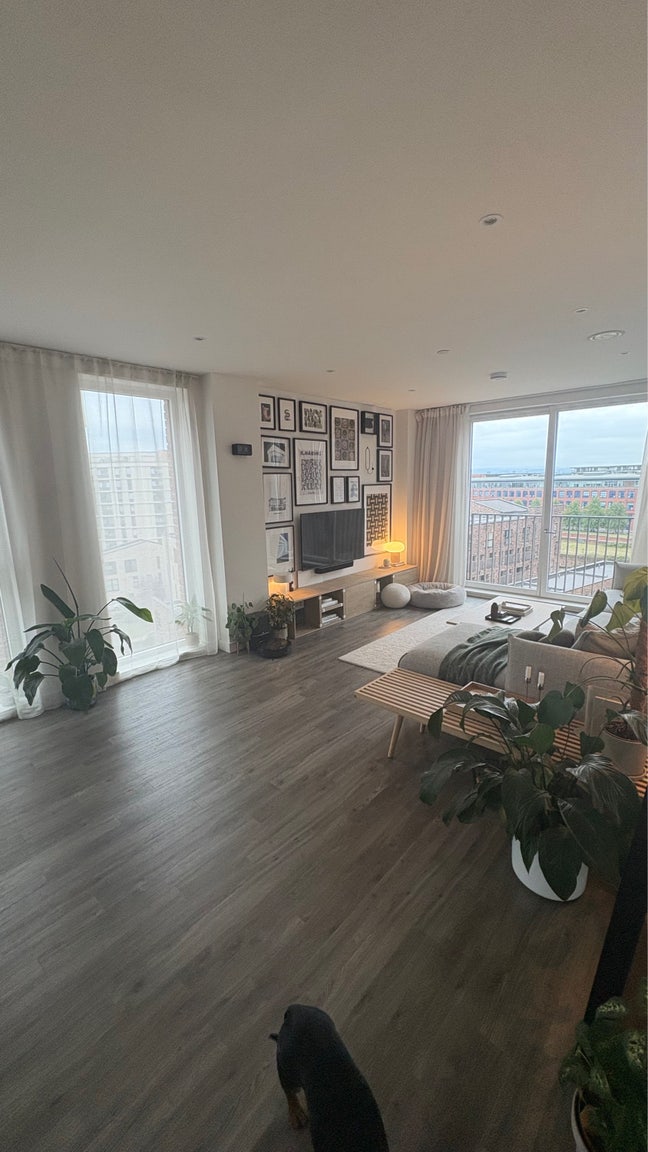 Looking for a lodger Main Photo