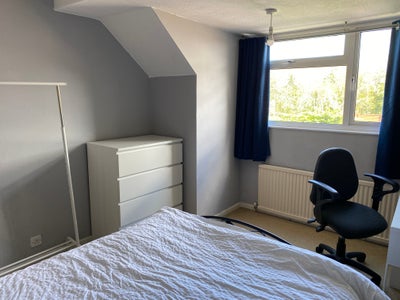 Room to let in 3 bedroom house  Main Photo