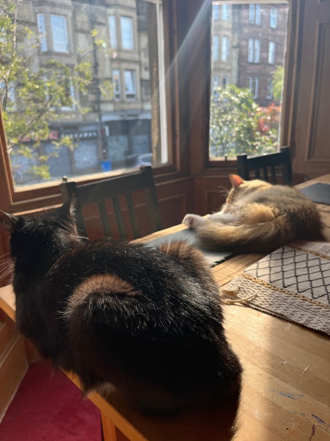 Double Bedroom in Leith Cat Friendly Please Main Photo