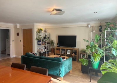 Double room in friendly house share  Main Photo