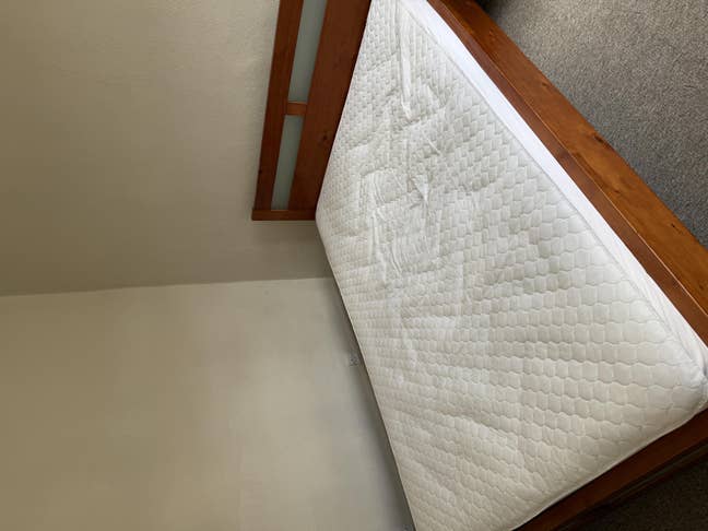 Moderate double room in a 2 bedroom shared house  Main Photo